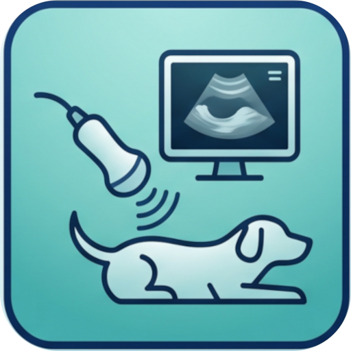 Ultrasound